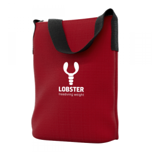 Carry Bag